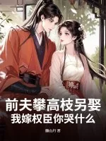 《前夫攀高枝另娶，我嫁权臣你哭什么》小说封面