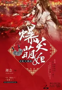 《爆笑萌妃王妃太难追》小说封面