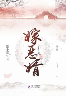 《嫁恶婿》小说封面