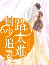 《时繁星》小说封面