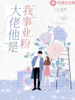 《大佬他是我事业粉》小说封面