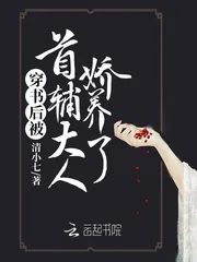 《穿书后被首辅大人娇养了》小说封面