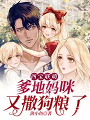 《沈玥》小说封面