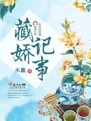 《藏娇记事》小说封面