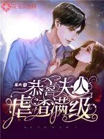 《恭喜夫人虐渣满级》小说封面