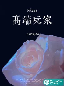 《高端玩家》小说封面