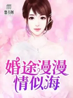 《婚途漫漫情似海》小说封面