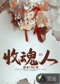 《收魂人》小说封面