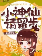 《小神仙,请留步》小说封面