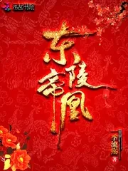 《东陵帝凰》小说封面