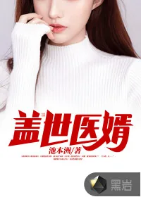《盖世医婿》小说封面