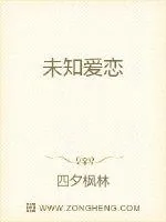 《未知爱恋》小说封面