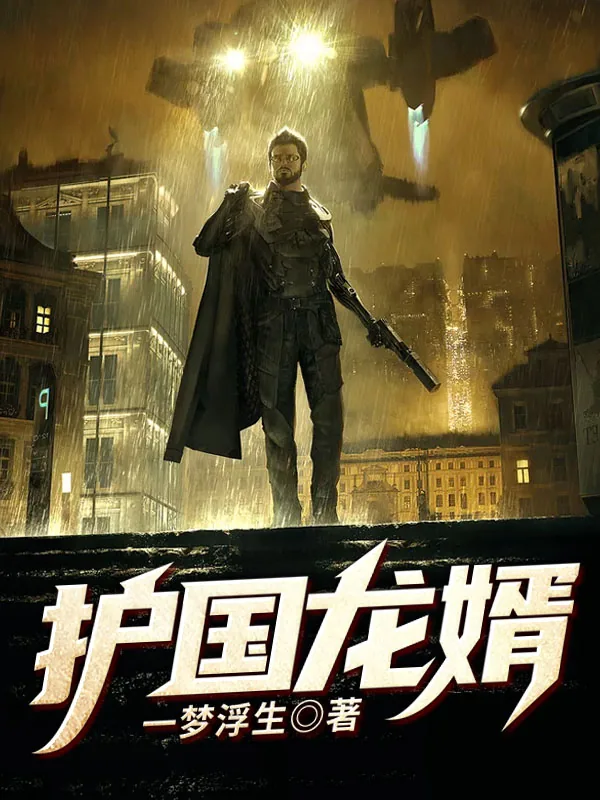 《护国龙婿》小说封面