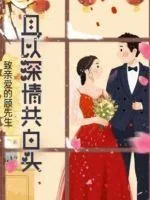 《致亲爱的顾先生：且以深情共白头》小说封面