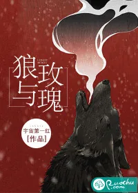 《狼与玫瑰》小说封面