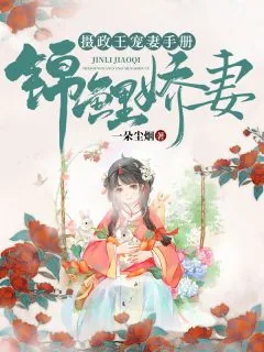 《锦鲤娇妻：摄政王宠妻手册赵锦儿》小说封面