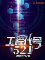 《工程代号521》小说封面
