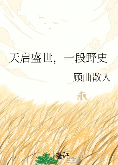 《天启盛世，一段野史》小说封面