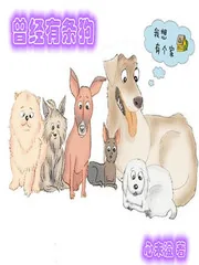 《曾经有条狗》小说封面