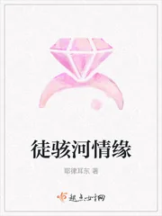 《徒骇河情缘》小说封面