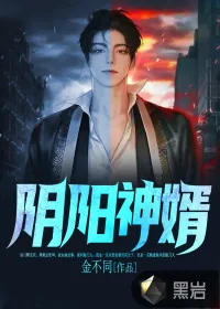 《阴阳神婿》小说封面