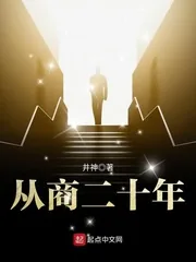 《从商二十年》小说封面