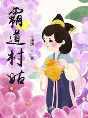 《霸道村姑》小说封面
