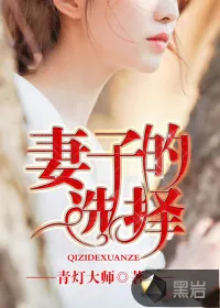 《妻子的选择》小说封面