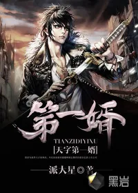 《天字第一婿》小说封面
