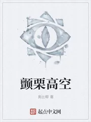 《颤栗高空》小说封面