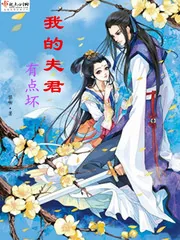 《我的夫君有点坏》小说封面