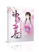 《神医弃妃在后宫乘风破浪》小说封面