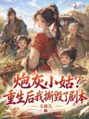 《炮灰小姑？重生后我撕毁了剧本》小说封面
