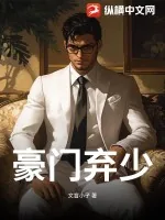 《豪门弃少！》小说封面