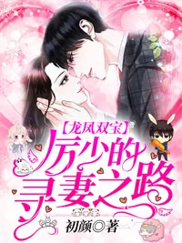 《龙凤双宝：厉少的寻妻之路》小说封面