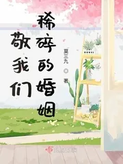 《敬我们稀碎的婚姻》小说封面
