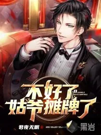 《不好了，姑爷摊牌了》小说封面