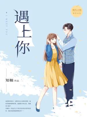 《遇上你》小说封面