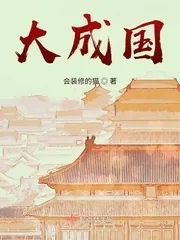 《大成国》小说封面