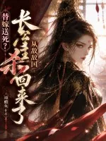 《替嫁送死？长公主从敌国杀回来了》小说封面