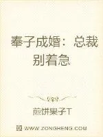 《奉子成婚：总裁别着急》小说封面