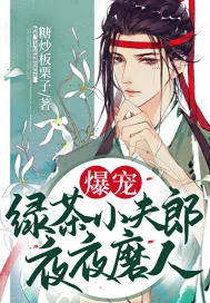 《爆宠！绿茶小夫郎夜夜磨人》小说封面