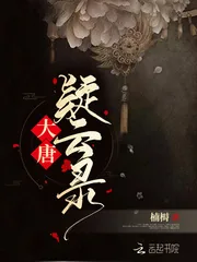 《大唐疑云录》小说封面