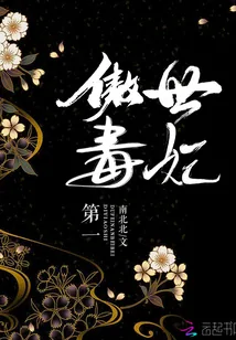 《第一傲世毒妃》小说封面