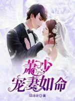 《萧少宠妻如命》小说封面