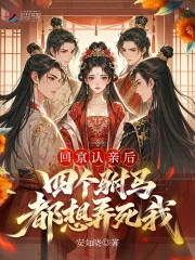 《回京认亲后，四个驸马都想弄死我》小说封面