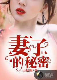 《妻子的秘密》小说封面