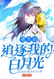 《重生后追逐我的白月光》小说封面