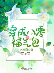 《穿成八零福气包》小说封面