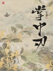 《掌中刃》小说封面